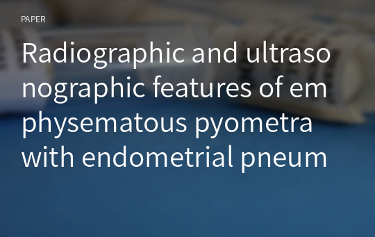 Radiographic and ultrasonographic features of emphysematous pyometra with endometrial pneumatosis in a dog