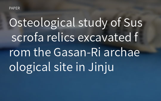 Osteological study of Sus scrofa relics excavated from the Gasan-Ri archaeological site in Jinju