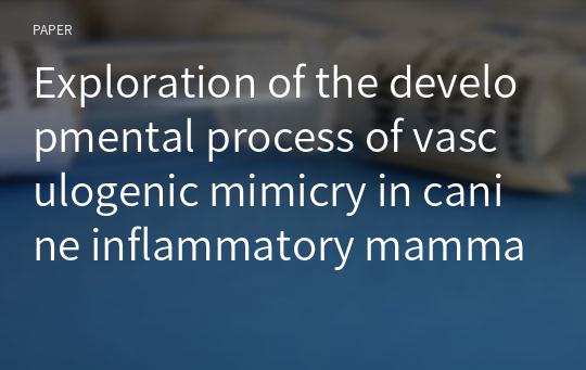 Exploration of the developmental process of vasculogenic mimicry in canine inflammatory mammary carcinoma