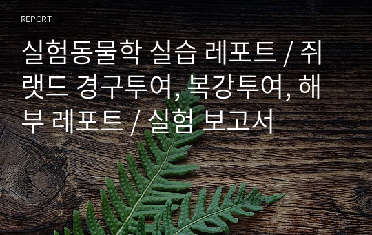 실험동물학 실습 레포트 / 쥐 랫드 경구투여, 복강투여, 해부 레포트 / 실험 보고서