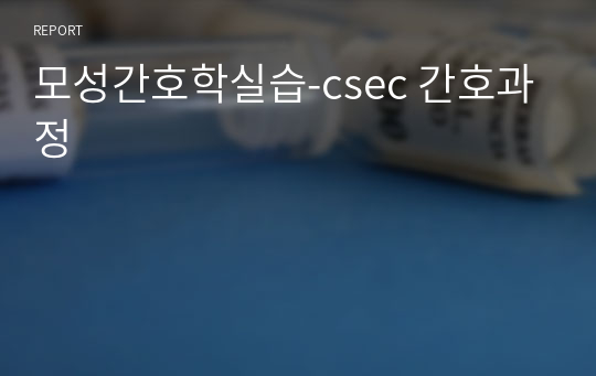 모성간호학실습-csec 간호과정