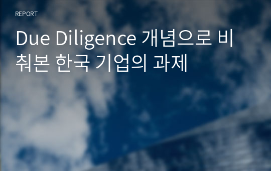 Due Diligence 개념으로 비춰본 한국 기업의 과제
