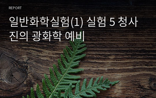 일반화학실험(1) 실험 5 청사진의 광화학 예비