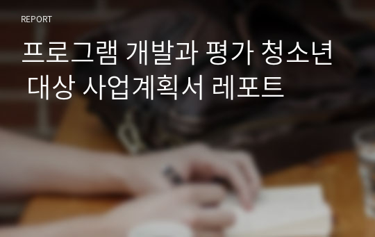 프로그램 개발과 평가 청소년 대상 사업계획서 레포트