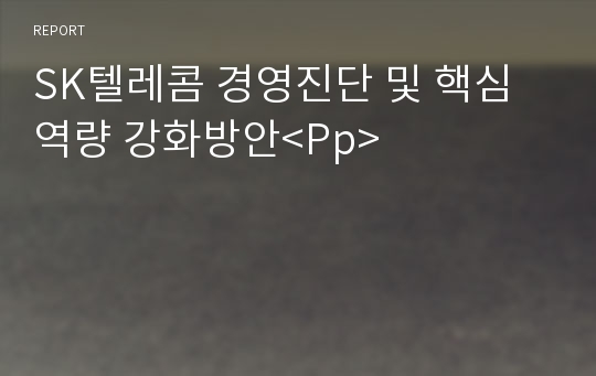 SK텔레콤 경영진단 및 핵심역량 강화방안&lt;Pp&gt;