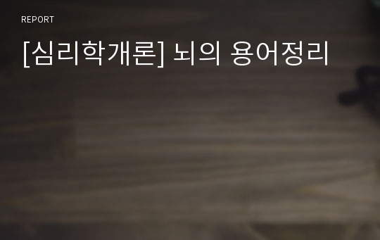 [심리학개론] 뇌의 용어정리