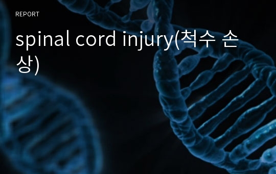 spinal cord injury(척수 손상)