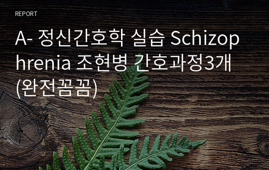 A+ 정신간호학 실습 Schizophrenia 조현병 간호과정3개 (완전꼼꼼)