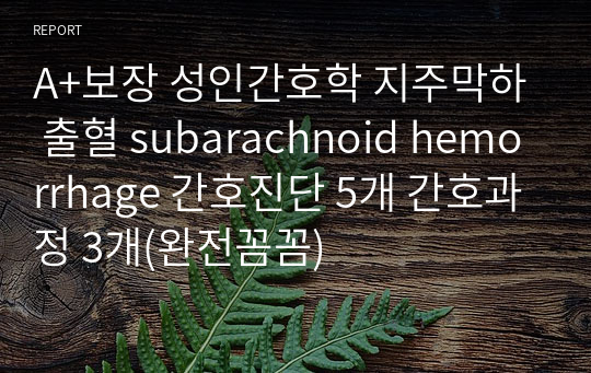 A+보장 성인간호학 지주막하 출혈 Subarachnoid Hemorrhage 간호진단 5개 간호과정 3개(완전꼼꼼) 레포트