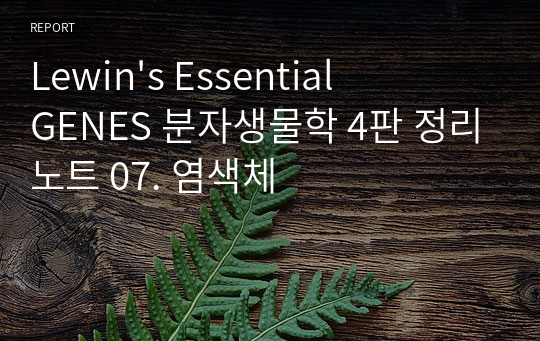 Lewin&#039;s Essential GENES 분자생물학 4판 정리노트 07. 염색체