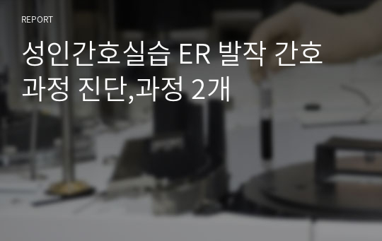 성인간호실습 ER 발작 간호과정 진단,과정 2개