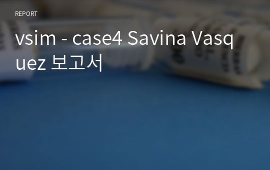 vsim - case4 Savina Vasquez 보고서