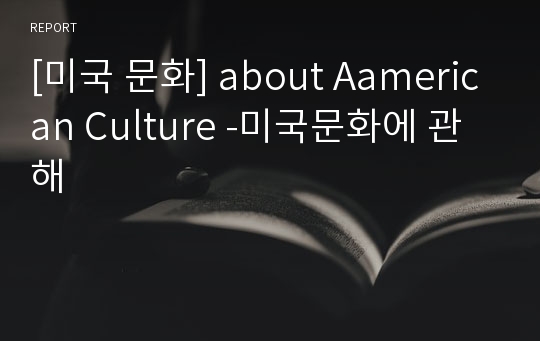 [미국 문화] about Aamerican Culture -미국문화에 관해