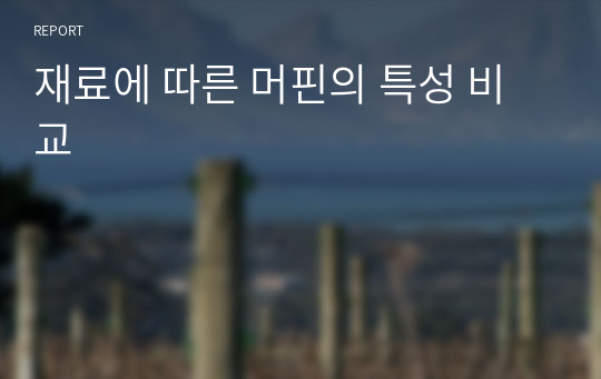 재료에 따른 머핀의 특성 비교