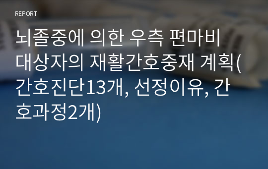 뇌졸중에 의한 우측 편마비 대상자의 재활간호중재 계획(간호진단13개, 선정이유, 간호과정2개)