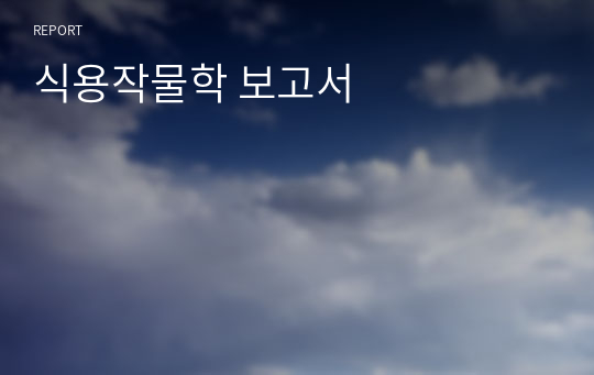 식용작물학 보고서