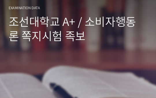 조선대학교 A+ / 소비자행동론 쪽지시험 족보