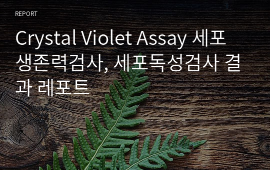 Crystal Violet Assay 세포생존력검사, 세포독성검사 결과 레포트