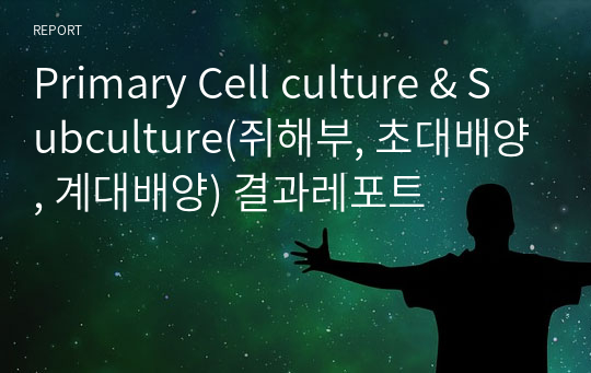 Primary Cell culture &amp; Subculture(쥐해부, 초대배양, 계대배양) 결과레포트