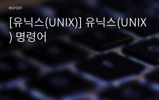 [유닉스(UNIX)] 유닉스(UNIX) 명령어