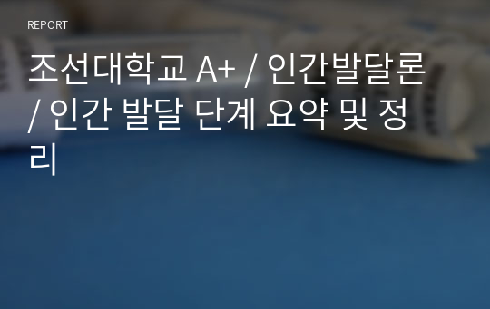 조선대학교 A+ / 인간발달론 / 인간 발달 단계 요약 및 정리