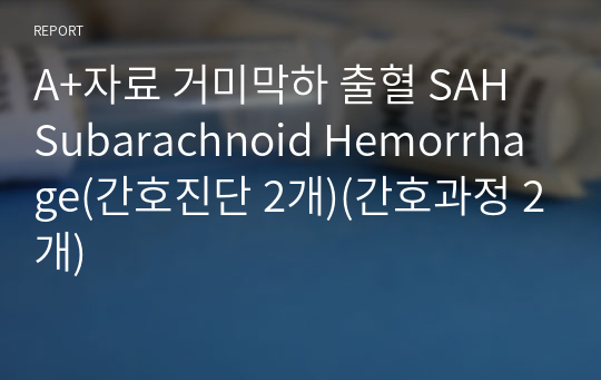 A+자료 거미막하 출혈 SAH Subarachnoid Hemorrhage(간호진단 2개)(간호과정 2개)