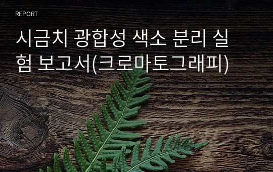 시금치 광합성 색소 분리 실험 보고서(크로마토그래피)