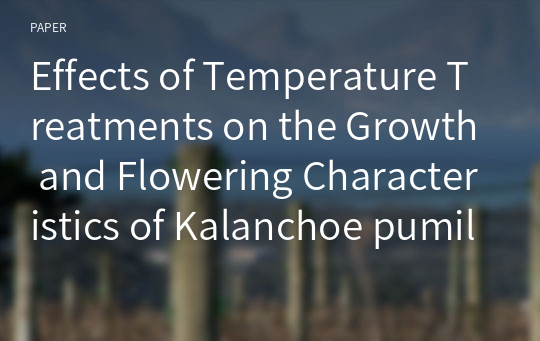 Effects of Temperature Treatments on the Growth and Flowering Characteristics of Kalanchoe pumila Baker