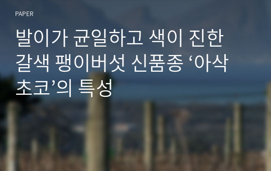 발이가 균일하고 색이 진한 갈색 팽이버섯 신품종 ‘아삭초코’의 특성