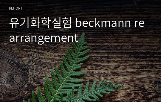 유기화학실험 beckmann rearrangement