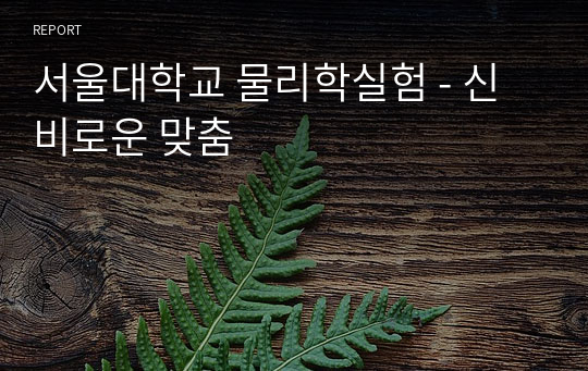 서울대학교 물리학실험 - 신비로운 맞춤