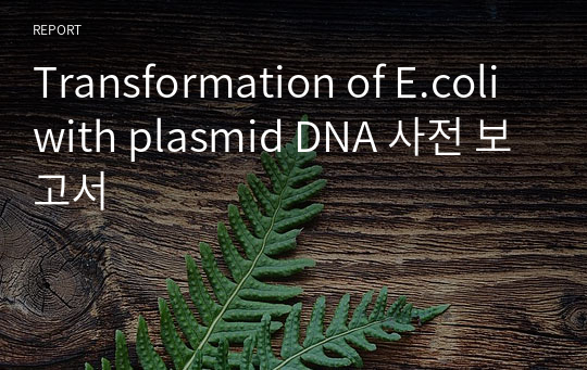 Transformation of E.coli with plasmid DNA 사전 보고서