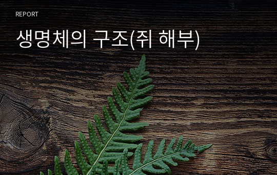 생명체의 구조(쥐 해부)