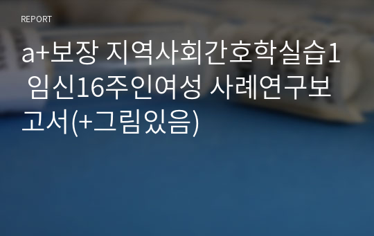 a+보장 지역사회간호학실습1 임신16주인여성 사례연구보고서(+그림있음)