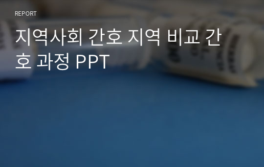 지역사회 간호 지역 비교 간호 과정 PPT