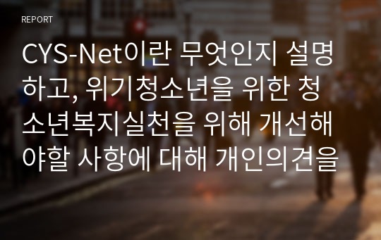 CYS-Net이란 무엇인지 설명하고, 위기청소년을 위한 청소년복지실천을 위해 개선해야할 사항에 대해 개인의견을