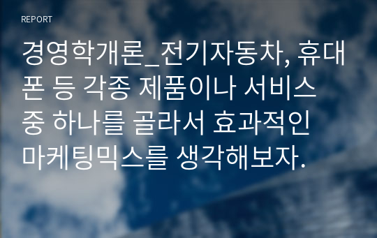 경영학개론_전기자동차, 휴대폰 등 각종 제품이나 서비스 중 하나를 골라서 효과적인 마케팅믹스를 생각해보자.