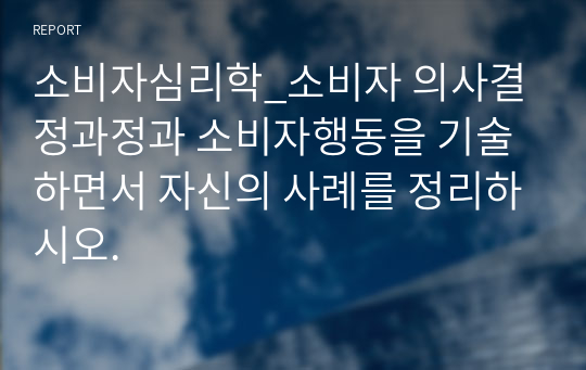 소비자심리학_소비자 의사결정과정과 소비자행동을 기술하면서 자신의 사례를 정리하시오.