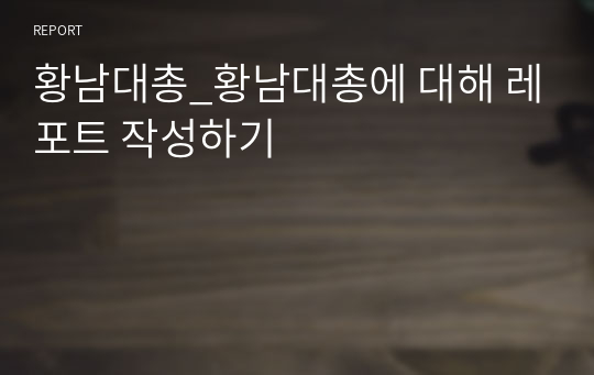 황남대총_황남대총에 대해 레포트 작성하기