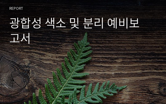 광합성 색소 및 분리 예비보고서