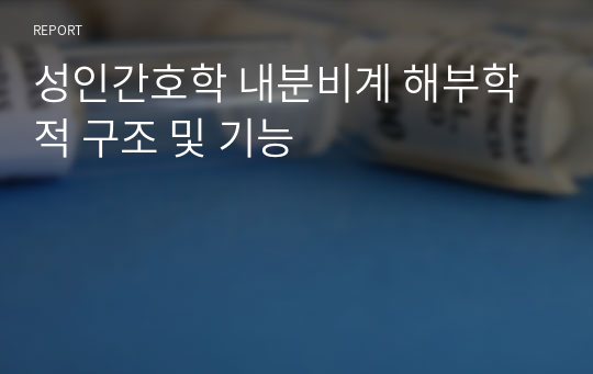 성인간호학 내분비계 해부학적 구조 및 기능