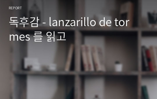 독후감 - lanzarillo de tormes 를 읽고