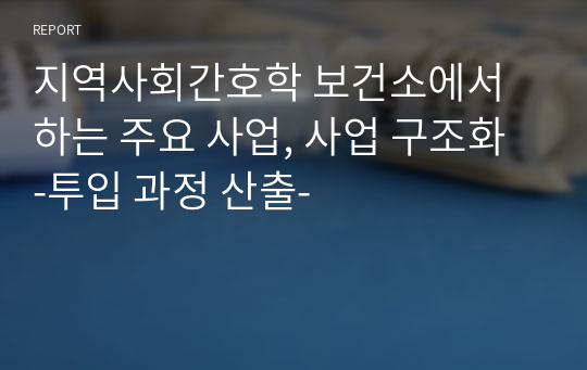 지역사회간호학 보건소에서 하는 주요 사업, 사업 구조화 -투입 과정 산출-