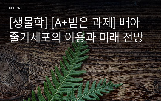 [생물학] [A+받은 과제] 배아줄기세포의 이용과 미래 전망