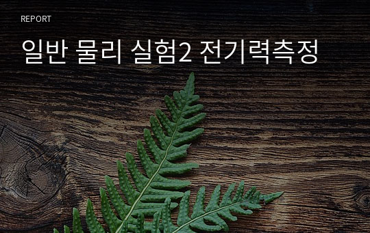 일반 물리 실험2 전기력측정