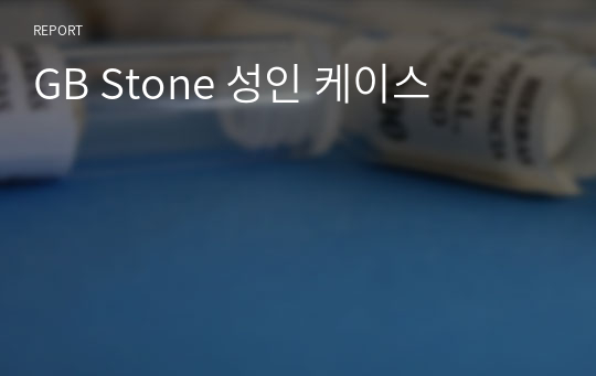 GB Stone 성인 케이스