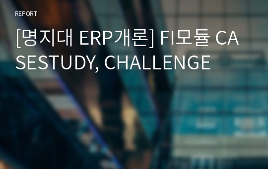 [명지대 ERP개론] FI모듈 CASESTUDY, CHALLENGE