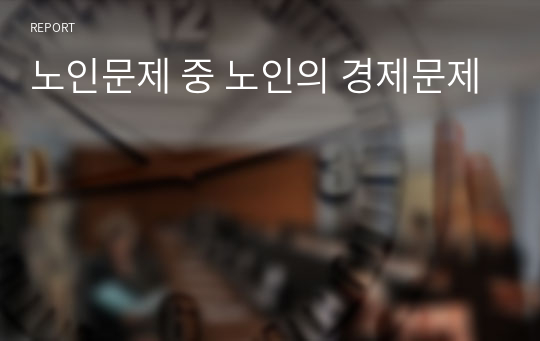 노인문제 중 노인의 경제문제