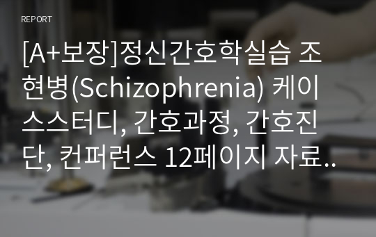 [A+보장]정신간호학실습 조현병(Schizophrenia) 케이스스터디, 간호과정, 간호진단, 컨퍼런스 12페이지 자료입니다.