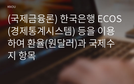 (국제금융론) 한국은행 ECOS(경제통계시스템) 등을 이용하여 환율(원달러)과 국제수지 항목